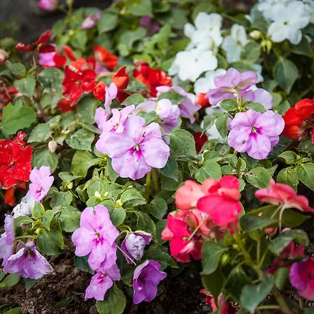 Relais Maison De Charles Bed & Breakfast